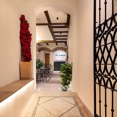 Mi Andalusia Experience 马拉加